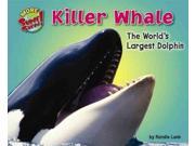 Killer Whale The World s Largest Dolphin Supersized!