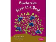 Blueberries Grow on a Bush Pebble Books