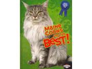 Maine Coons Are the Best! The Best Cats Ever