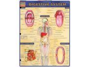Digestive System Reference Guide Quick Study Academic