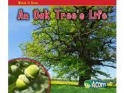 An Oak Tree s Life Acorn Watch It Grow
