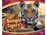 Bengal Tigers Pebble Plus