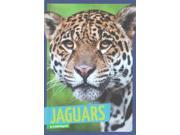 Jaguars Wild Cats