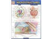 Anatomy Microstructures Quick Study Academic