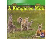 A Kangaroo Mob Animal Groups