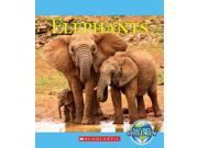 Elephants Nature s Children