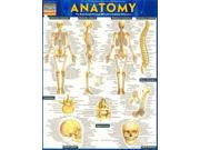 Anatomy Quickstudy Academic LAM CHRT