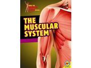 The Muscular System How the Human Body Works