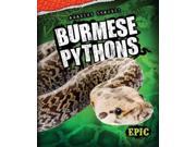 Burmese Pythons Amazing Snakes!
