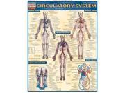 Circulatory System Reference Guide Quick Study Academic 1 LAM CRDS