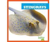 Stingrays Life Under the Sea