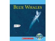 Blue Whales Nature s Children