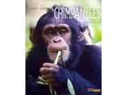 Chimpanzees Living Wild