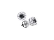 10kt White Gold Womens Round Black Colored Diamond Solitaire Stud Fashion Earrings 1 2 Cttw