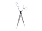 Oster ComfortFlex 10 inch Straight Grooming Shears Scissors