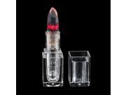 Lasting Moisture Exquisite Flower Jelly Lipstick With Transparent Cover