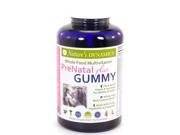 Nature s Dynamics Prenatal Plus Gummy 60 Gummies