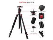 Rangers 62 Portable Professional Aluminium Tripod with 360° ABS Ball Head Quick Release Plate with bubble level for DSLR Cameras RA068