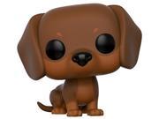 Pets Dachshund Brown