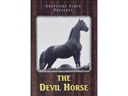 Rex The Devil Horse Devil Horse 1926 [DVD]