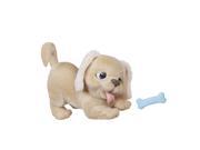 FurReal Fuzz Pets Playful Goldie