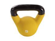 Century Kettlebells c2488