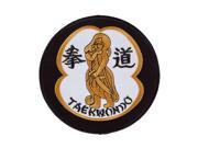 Tae Kwon Do Warrior Patch c08 p43