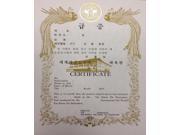 WTF TaeKwonDo Kukkiwon Color Belt Certificate