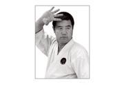Okinawan Goju Ryu Series Titles DVDs
