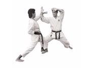 Master Kenneth Funakoshis Shotokan Karate Series Titles