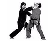 Master Tabatabais American Kenpo Karate Titles DVD