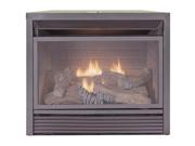 Charlton Home Hardwick Dual Fuel Fireplace Insert