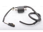01 143 10 KIMPEX External Ignition Coil