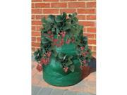 Bosmere K709 Strawberry Herb Planter Bag Green