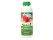 AlgoPlus Acid Loving Plant Formula