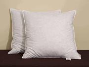 Pacific Coast Euro Feather 26 by 26 Square Pillow With Euro Pillow Protector