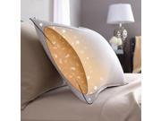 Pacific Coast Double Down Around King Size Pillow With 1 King Size Pillowtex Pillow Protector