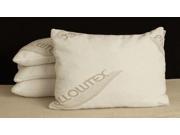 Pillowtex Chopped Memory Foam Standard Fill King Size Pillow Set