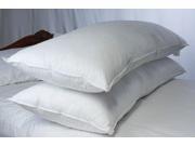 Pillowtex Polyester Fill Body Pillow ? 20? x 60?