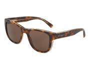Dolce Gabbana 0DG4284F Sun Square Mens Sunglasses Size 54 Yellow Transparent Brown Brown