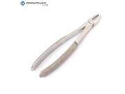 OdontoMed2011® EXTRACTING FORCEPS 168
