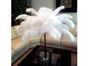10pcs 10.23 White Natural Ostrich Feathers