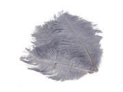 10pcs 10.23 Grey Natural Ostrich Feathers
