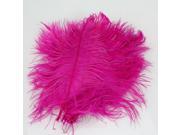 New 10PCS Wholesale Quality Natural Ostrich Feathers 12 14 Inch Rose Red