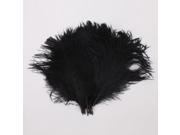 10pcs 10.23 Black Natural Ostrich Feathers