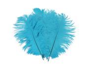 10pcs 10.23 Blue Natural Ostrich Feathers
