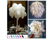 Wholesale Natural 10pcs Ostrich Feathers 16 18 White Exquisite Home Party Decorations