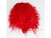 10pcs 13.58 Ostrich Feathers Red