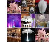 New 10 PCS Wholesale Quality Natural Ostrich Feathers 12 14 Inch White Color