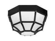 Decorative Outdoor Octagonal Collection Fixture Black Frosted Lens